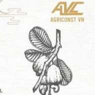 Agrionst VN Company Limited